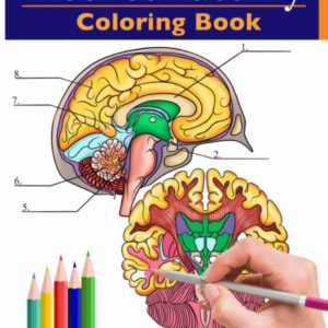 Neuroanatomy Coloring Book: Incredibly Detailed Self-Test Human Brain Coloring Book for Neuroscience | Perfect Gift for Medical School Students, Nurses, Doctors and Adults