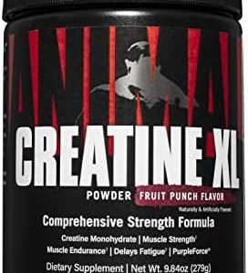 Animal Creatine XL Powder - Enhanced Pre Workout Creatine Monohydrate Supplement - Support Brain Health, Delay Fatigue, Enhance Endurance, Improve Recovery, Men and Women - Fruit Punch