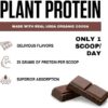vedge Certified Organic Plant Protein Chocolate Flavor (20 Servings) - Plant-Based Vegan Protein Powder, USDA Organic, Gluten Free, Non Dairy Nutrition Plant Protein - Image 4