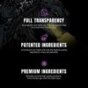 Ryse Signature Series Godzilla Pre Workout | Pump, Energy, Strength, and Focus | Citrulline, Beta-Alanine, Caffeine | 40 Servings (BlackBerry Lemonade) - Image 7