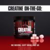 Animal Creatine Chews Tablets - Enhanced Creatine Monohydrate with AstraGin to Improve Absorption, Sea Salt for Added Pumps, Delicious and Convenient Chewable Tablets - Fruit Punch - Image 5