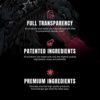 Ryse Signature Series Godzilla Pre Workout | Pump, Energy, Strength, and Focus | Citrulline, Beta-Alanine, Caffeine | 40 Servings (Strawberry Kiwi) - Image 7