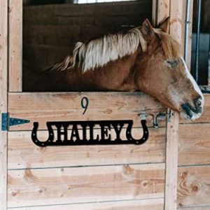 Custom Metal Horse Stall Name Plate Personalized Horse Farm Sign for Barn and Ranch Decor Horse Wall Decor