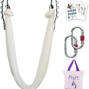 F.Life Aerial Yoga Hammock 5.5 Yards Premium Aerial Silk Fabric Yoga Swing for Antigravity Yoga Inversion Include Daisy Chain,Carabiner and Pose Guide