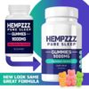 HempZZZ Gummies 9000 - Hemp Sleep Gummies for Deep Sleep with Melatonin and Theanine - Relaxation, Pain and Sleep - 9000 MG Hemp Extract Gummy Bears - Image 4