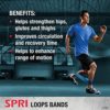 SPRI Standard Loop Bands 3-Pack - Resistance Band Kit Set, 3 Levels of Resistance - Exercise Bands for Strength Training, Flexibility, & Body Workout - Versatile Fitness Tool - Light, Medium, Heavy - Image 3