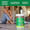 Amazing Grass Organic Plant Protein Blend: Vegan Protein Powder, New Protein Superfood Formula, All-In-One Nutrition Shake with Beet Root, Original, 12 Servings - Image 5