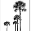Tropical Prints, Set Of 4 Black And White Prints, Palm Tree, Pineapples, Ocean, Banana Leaves, 8 x 10 Inches, Unframed - Image 2