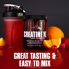 Animal Creatine XL Powder - Enhanced Pre Workout Creatine Monohydrate Supplement - Support Brain Health, Delay Fatigue, Enhance Endurance, Improve Recovery, Men and Women - Fruit Punch - Image 7