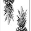 Tropical Prints, Set Of 4 Black And White Prints, Palm Tree, Pineapples, Ocean, Banana Leaves, 8 x 10 Inches, Unframed - Image 3