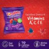 Funables Fruity Snacks, Mixed Berry Fruit Flavored Snacks, Pack of 40 0.8 ounce Pouches - Image 3
