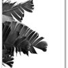 Tropical Prints, Set Of 4 Black And White Prints, Palm Tree, Pineapples, Ocean, Banana Leaves, 8 x 10 Inches, Unframed - Image 5