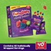 Funables Fruity Snacks, Mixed Berry Fruit Flavored Snacks, Pack of 40 0.8 ounce Pouches - Image 2