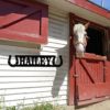 Custom Metal Horse Stall Name Plate Personalized Horse Farm Sign for Barn and Ranch Decor Horse Wall Decor - Image 3