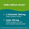 Nature Made Wellblends Stress Relief Gummies, L-theanine to help reduce stress, with GABA, Same Day Stress Support, 40 Strawberry Flavor Gummies - Image 3