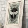 Haeckel Moth Illustration - 11x14 Unframed Art Print - Great Gift for Biologists or Nature Lovers - Image 4