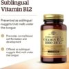 Solgar Vitamin B12 1000 mcg, 250 Nuggets - Supports Production of Energy, Red Blood Cells - Healthy Nervous System - Promotes Cardiovascular Health - Vitamin B - Non-GMO, Gluten Free - 250 Servings - Image 3