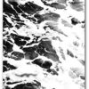 Tropical Prints, Set Of 4 Black And White Prints, Palm Tree, Pineapples, Ocean, Banana Leaves, 8 x 10 Inches, Unframed - Image 4