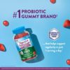 Digestive Advantage Prebiotic Fiber Gummies + Probiotics for Digestive Health, Daily Gummies for Women & Men, Digestive Supplement for Regularity & Gut Health, 60ct Strawberry Flavor - Image 5