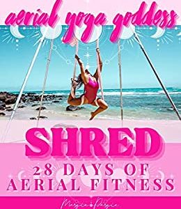 Aerial Yoga Goddess Shred