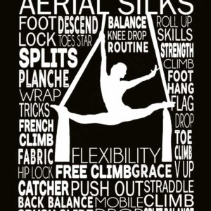 Aerial Silks Notebook:: Aerialist Practice Writing Diary Ruled Lined Pages Book 120 Pages 6 x 9 Gift for aerial silk aerial hoop