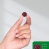 Sambucus Black Elderberry Gummies | 120 Count | with Zinc and Vitamin C | Vegan, Non-GMO, Gluten Free Extract for Adults | Natural Berry Flavor | by Horbaach - Image 7