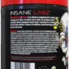 Insane Labz Psychotic, High Stimulant Pre Workout Powder, Extreme Lasting Energy, Focus and Endurance with Beta Alanine, Creatine Monohydrate, DMAE, 15 Srvgs - Image 2