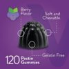 Sambucus Black Elderberry Gummies [3 in 1 Immune Booster] Plus Zinc & Vitamin C - Herbal Dietary Supplements, Plant Based Pectin - Good for Adults Teens & Kids - Berry Flavored Gummy [60 Count-2 Pack] - Image 3