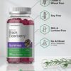 Sambucus Black Elderberry Gummies | 120 Count | with Zinc and Vitamin C | Vegan, Non-GMO, Gluten Free Extract for Adults | Natural Berry Flavor | by Horbaach - Image 4