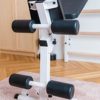 BenchK - Wooden Swedish Ladder Wall Stall Bar - Indoor Chin Up Bar Workout Equipment for Home Exercise, Physical Therapy, Gymnastics, Fitness - Image 7