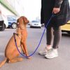 Taglory Rope Dog Leash 6FT with Comfortable Padded Handle, Highly Reflective Threads Dog Leash for Medium Dogs, 3/8 inch, Navyblue - Image 2