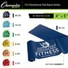 Champion Sports Resistance Therapy Stretch Flat Band - Image 4