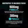 Jacked Factory Nitrosurge Max High Stim Pre Workout Powder - Premium High Caffeine Pre Workout w Nootropic Ingredients for Intense Energy, Clear Focus, Endurance - 40 Servings, Watermelon Rocket - Image 4
