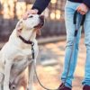 MayPaw Heavy Duty Rope Dog Leash, 3/4/5/6/7/8/10/12/15 FT Nylon Pet Leash, Soft Padded Handle Thick Lead Leash for Large Medium Dogs Small Puppy - Image 6