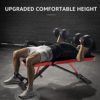 FLYBIRD Workout Bench, Adjustable Weight Bench Foldable Strength Training Bench for Home Gym - Newly Upgraded - Image 6