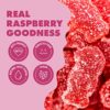 Shameless Snacks - Healthy Low Calorie Snacks, Low Carb Keto Gummies (Gluten Free Candy) - 6 Pack Red Raspberry Sour Scouts - Image 4