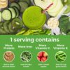 Orgain Organic Protein & Greens Vegan Protein Powder, Vanilla Bean - 21g of Plant Based Protein, Gluten Free, Non-GMO, 1.94 Pound, 1 Count, Packaging May Vary - Image 3