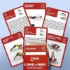 Abs and Core Exercise Cards – 75+ Workout Cards to Help Build Core Strength, Stability, Power – Fitness Deck Exercise Cards for Women and Men – Quick Ab Workout Routines for Gym, Outdoor, Work from Home Fitness Workout - Image 4