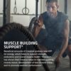 Bronson Micronized Creatine Monohydrate Powder, Unflavored, Keto Friendly, Non-GMO, 300g - Image 3