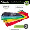 Champion Sports Resistance Therapy Stretch Flat Band - Image 5