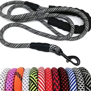 MayPaw Heavy Duty Rope Dog Leash, 3/4/5/6/7/8/10/12/15 FT Nylon Pet Leash, Soft Padded Handle Thick Lead Leash for Large Medium Dogs Small Puppy