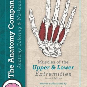 The Anatomy Companion Coloring & Workbook: Muscles of the Upper and Lower Extremities