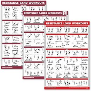 Palace Learning 3 Pack: Resistance Bands Workouts Volume 1 & 2 + Resistance Loops Exercises Poster Set - Set of 3 Workout Charts