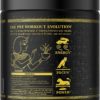 Ambrosia Kinetic Organic Preworkout, Mushroom Enhanced Natural Pre Workout Supplement, Nootropic Superfood Powder for Energy (Watermelon Candy) - Image 2