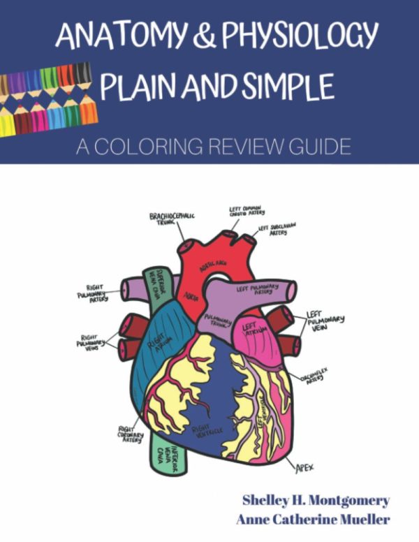 Anatomy & Physiology Plain and Simple: A Coloring Review Guide