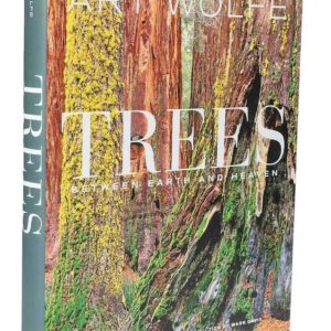 Trees: Between Earth and Heaven