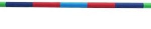 Tumbl Trak Perfect Placement Pirouette Gymnastic Low Floor Bar