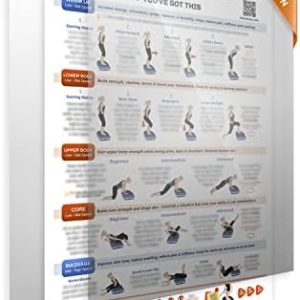 Lifepro Whole Body Vibration Plate Workout Poster - Comprehensive Vibration Plate Exercise Machine Exercise Poster with Training Suggestions & Detailed Instructions in Convenient Workout Chart