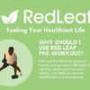Red Leaf Pre Workout Energizer Powder, BCAA's, Beta-Alanine, Amino Acids and Green Tea for Immune Support and Preworkout Energy, Natural Cranberry Lime Flavor - 30 Servings - Image 7