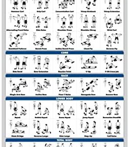 Palace Learning Dumbbell Workout Exercise Poster - Free Weight Body Building Guide | Home Gym Chart - LAMINATED, 18" x 24"